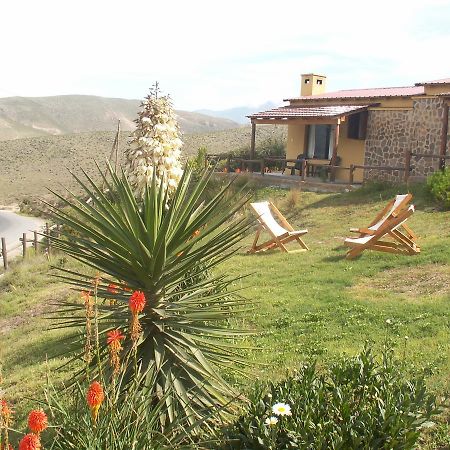 Cabanas Balcones De Tafi Tafi del Valle Exterior photo